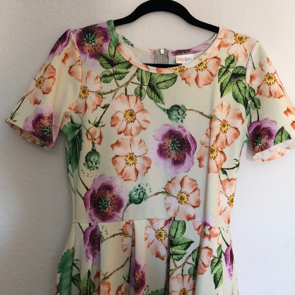 LuLaRoe dress